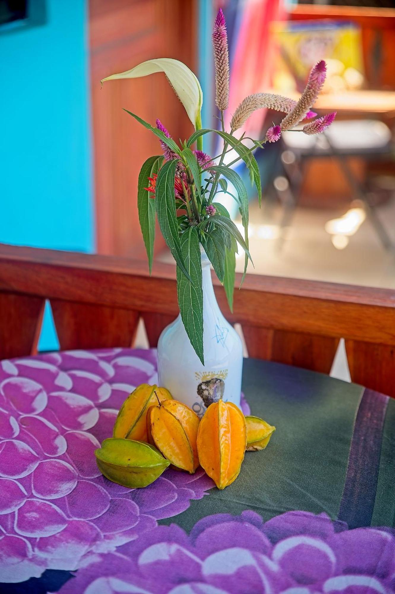 Mar Caribe Pv 호텔 Puerto Viejo de Talamanca 외부 사진