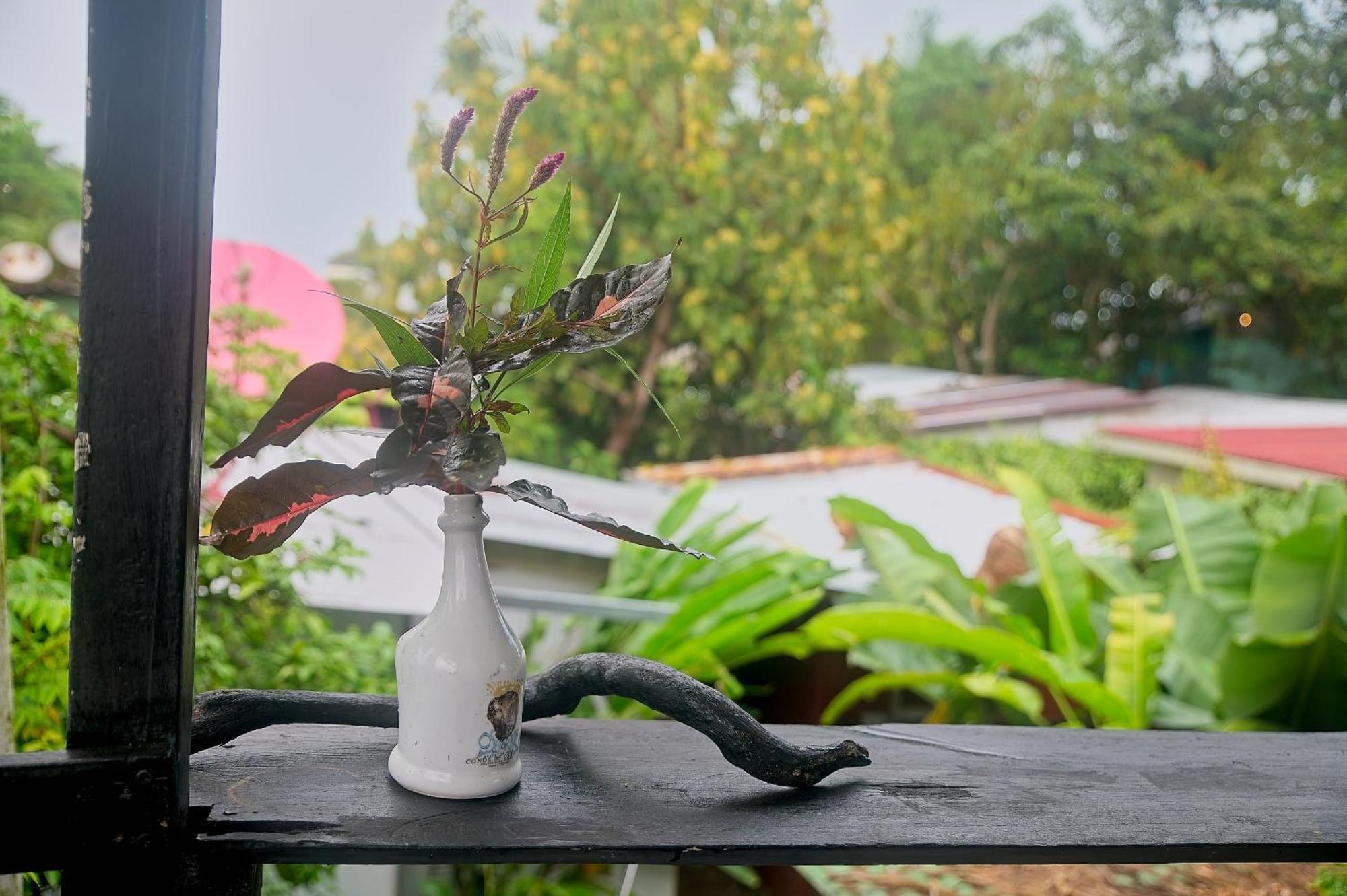 Mar Caribe Pv 호텔 Puerto Viejo de Talamanca 외부 사진
